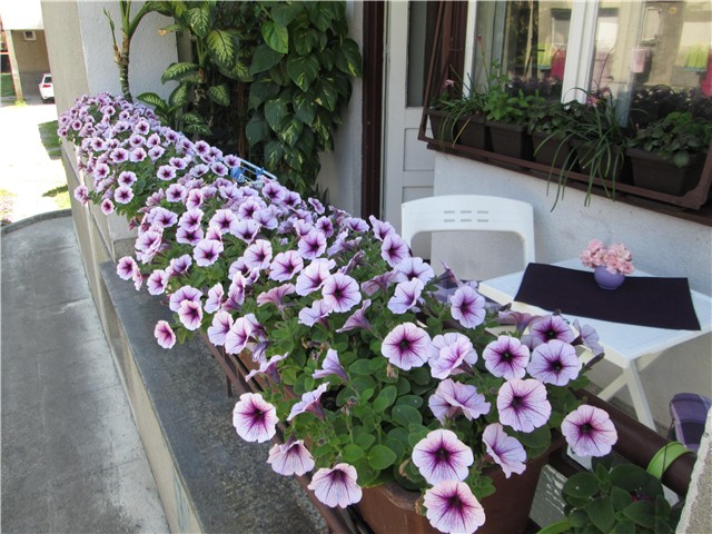 balkon ljeto